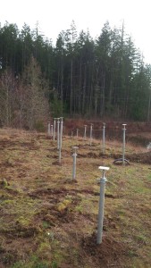 Solar Field