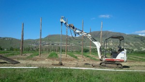 Hops Kamloops