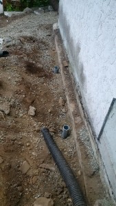 Wilsopn 3